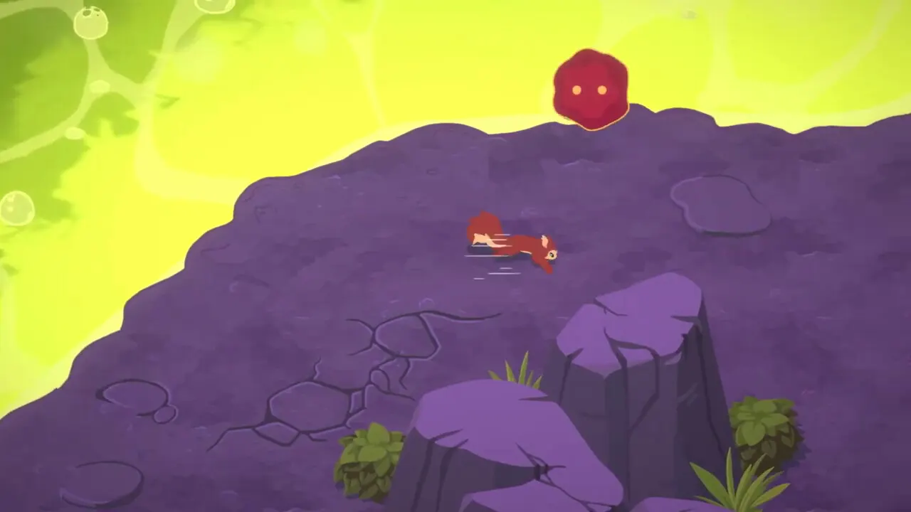 The Sacred Acorn media 13