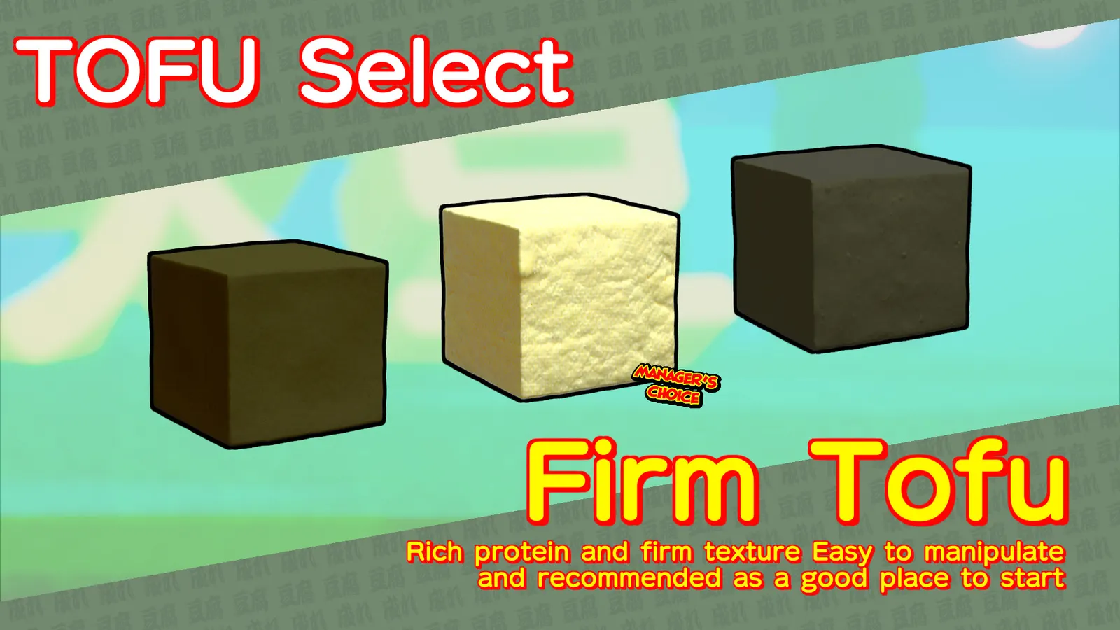 The Strongest TOFU media 3