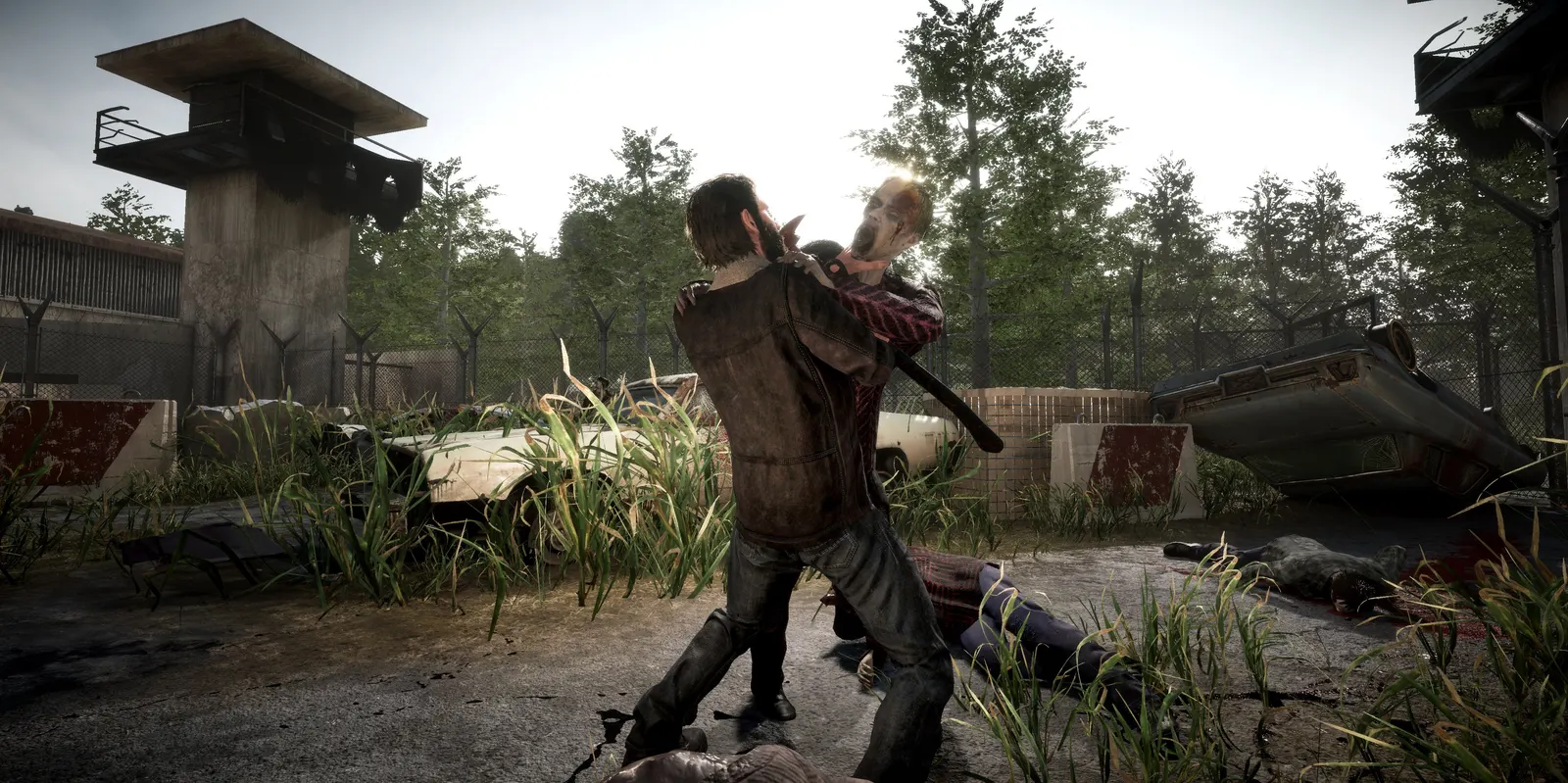 The Walking Dead: Destinies media 7