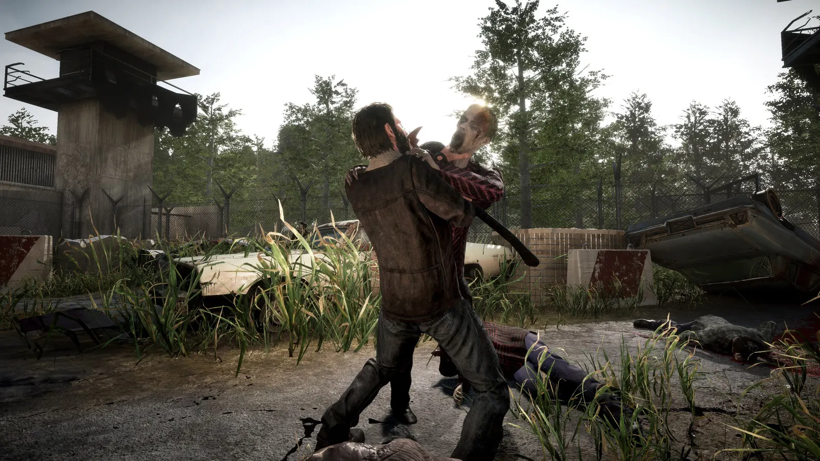 The Walking Dead: Destinies media 15