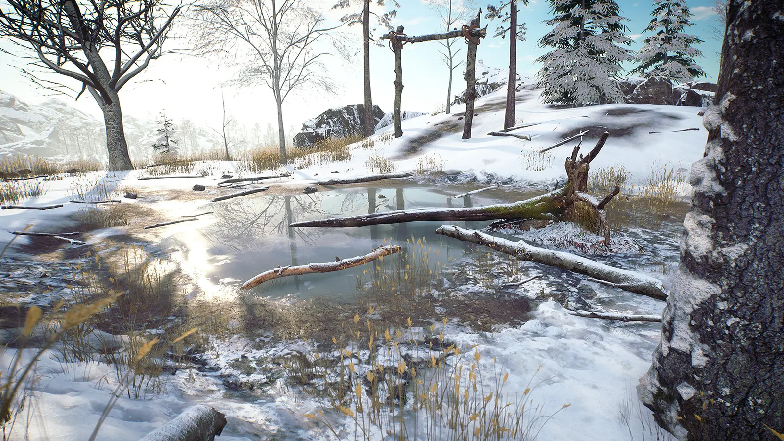 Til Nord media 8