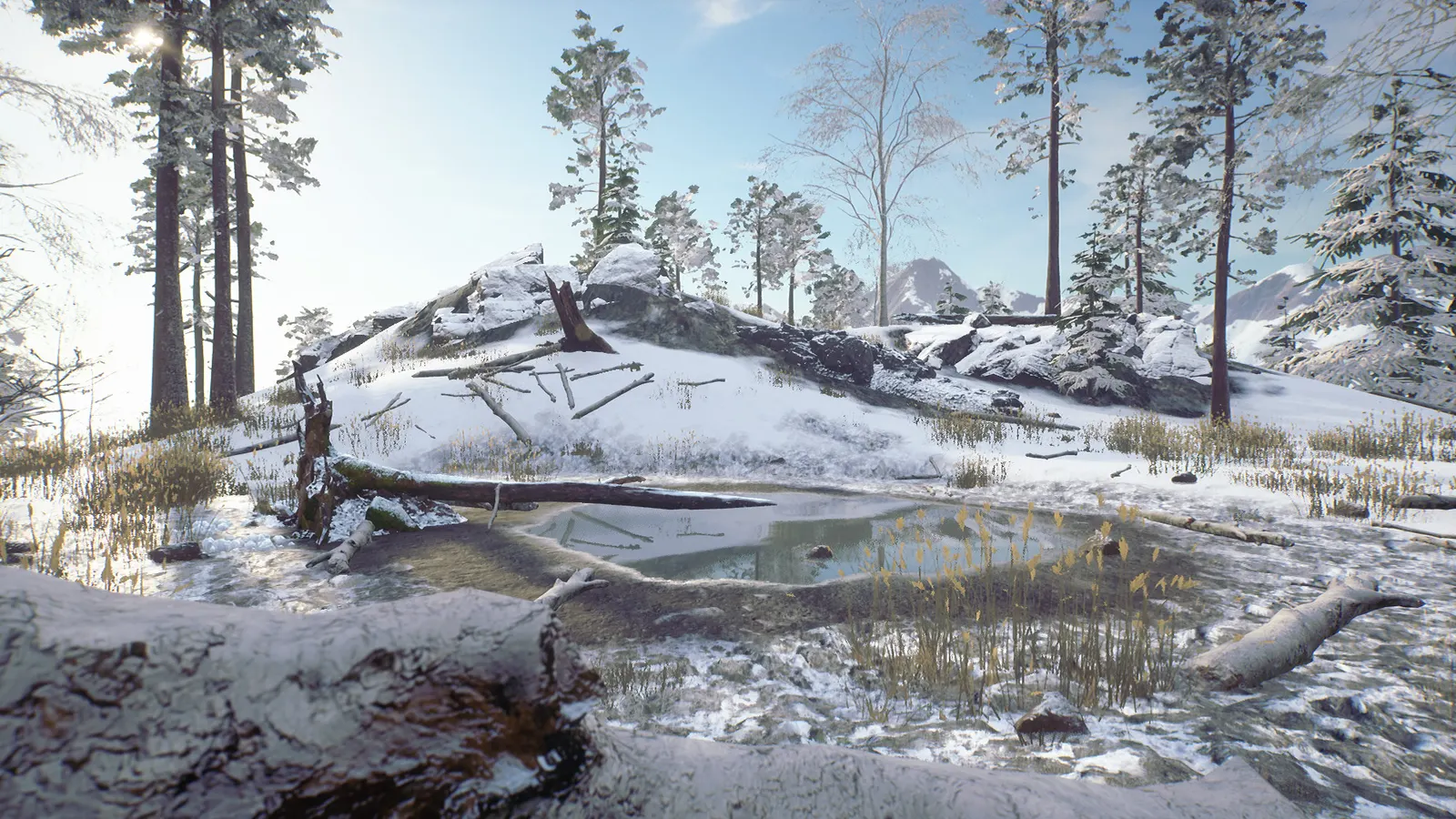 Til Nord media 13