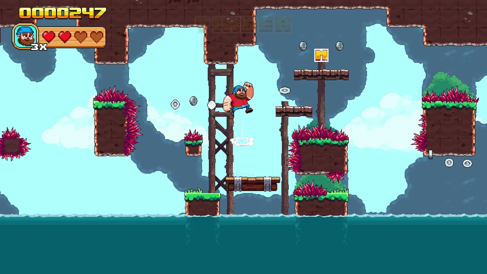 Timberman: The Big Adventure media 3