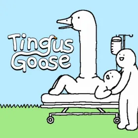 Обкладинка гри Tingus Goose