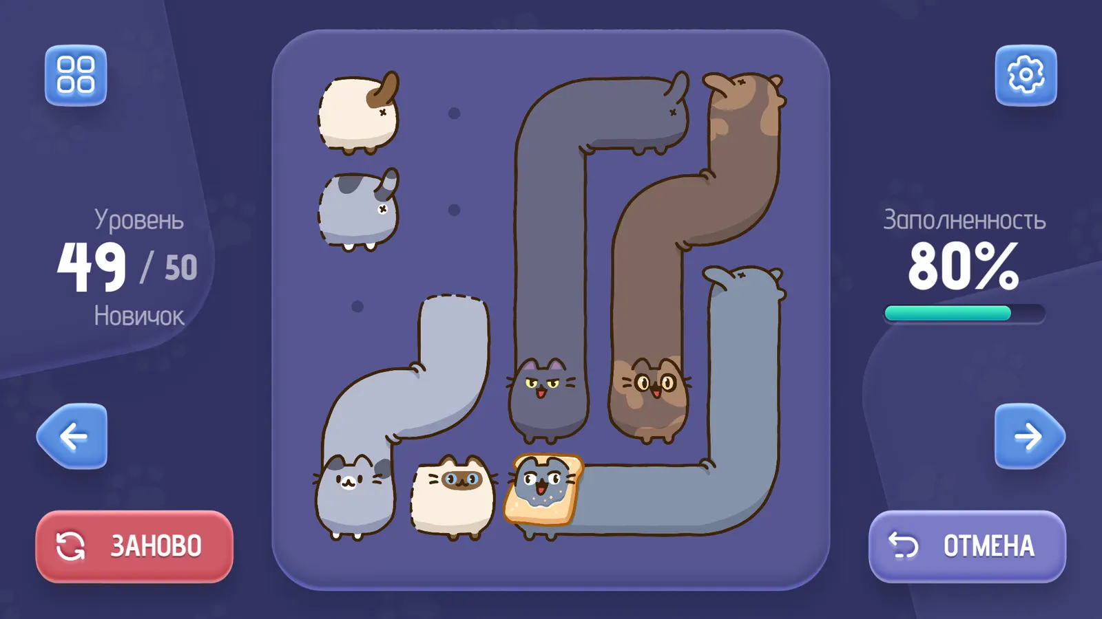 Toffee Cats media 2
