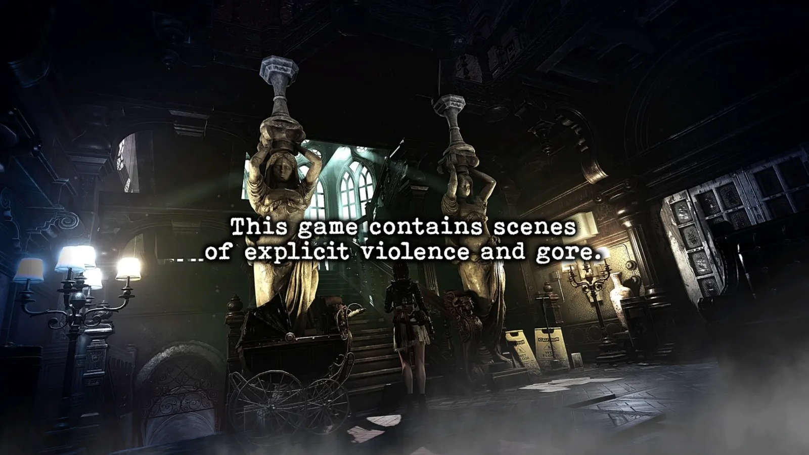 Tormented Souls media 4