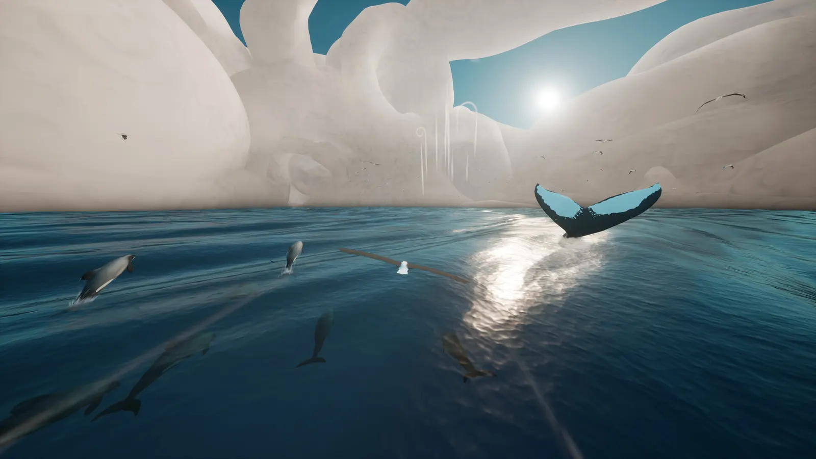 Toroa: Skycall media 3