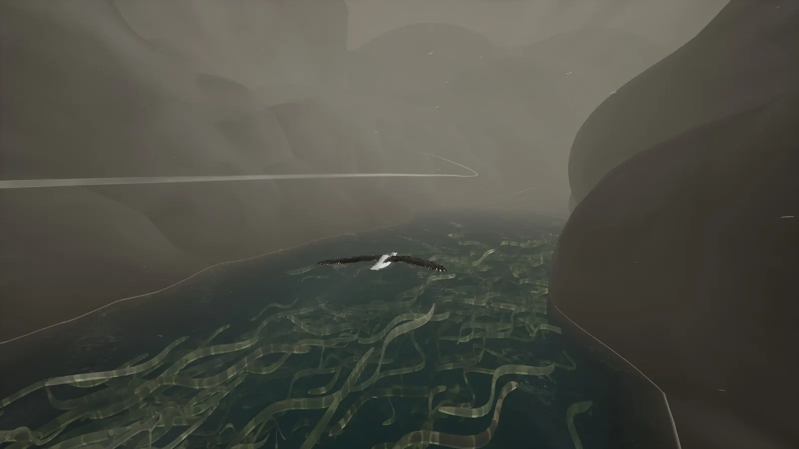 Toroa: Skycall media 4