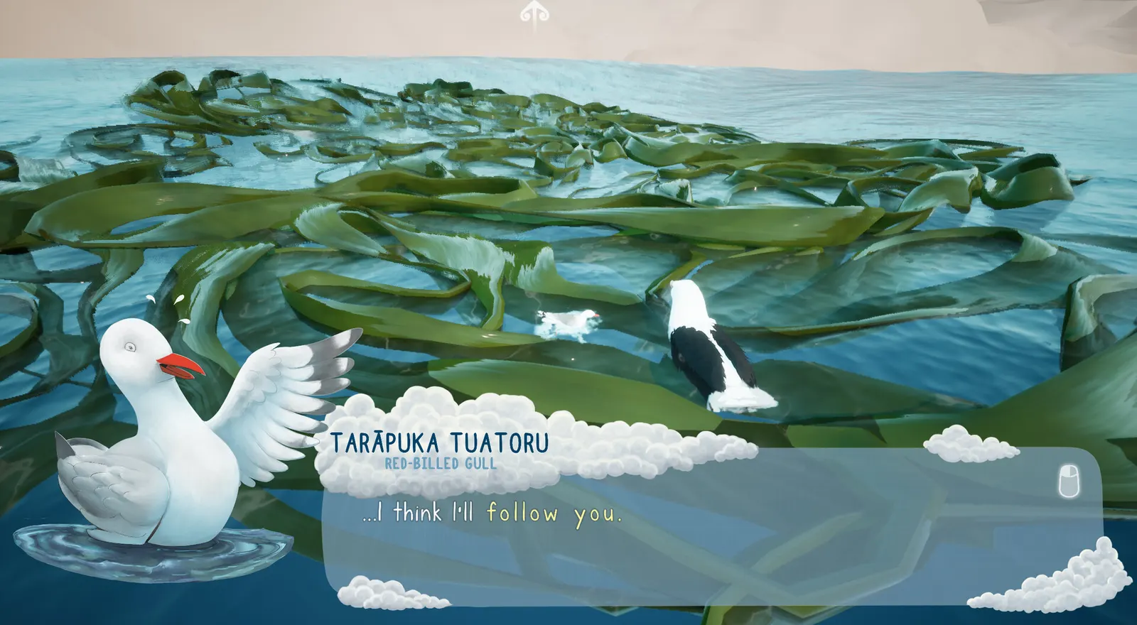 Toroa: Skycall media 11