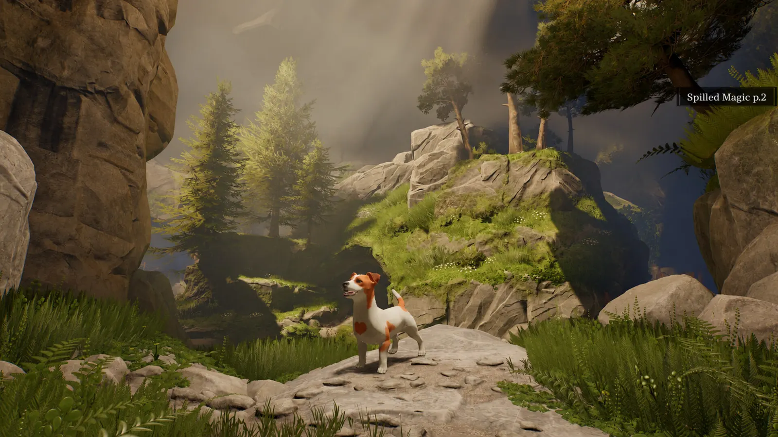 Toto's Journey media 12
