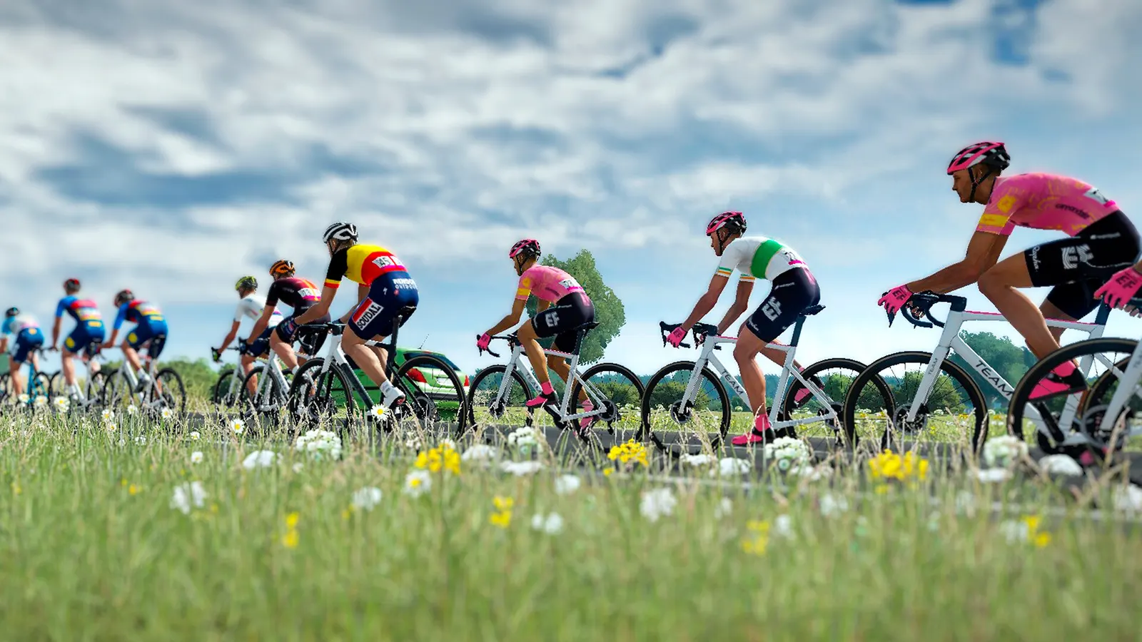 Tour de France 2024 media 6
