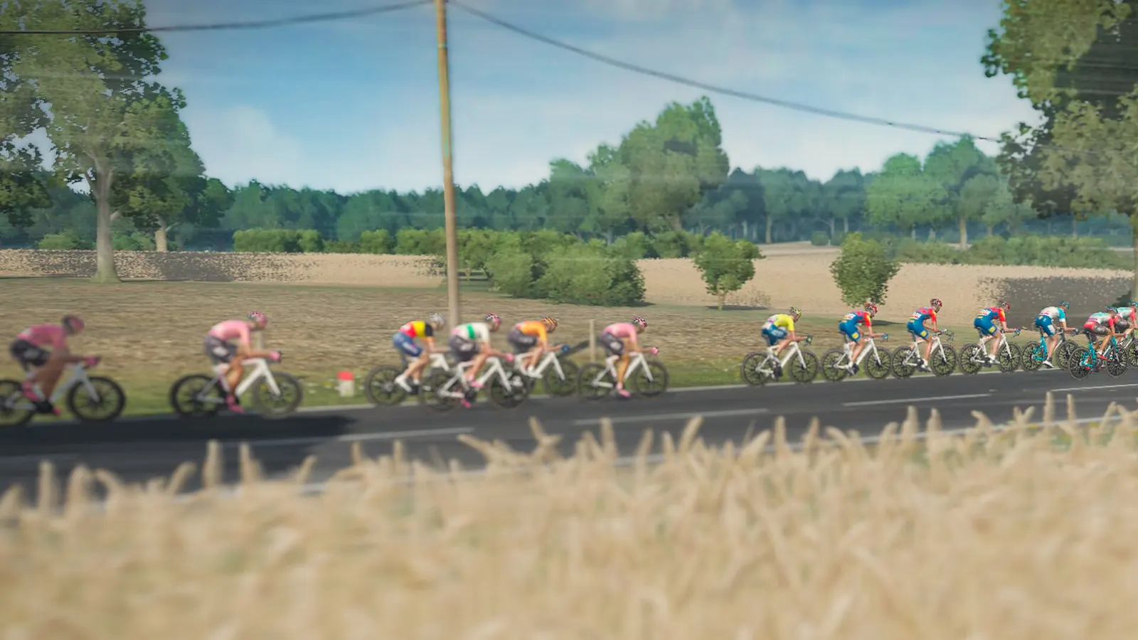 Tour de France 2024 media 9
