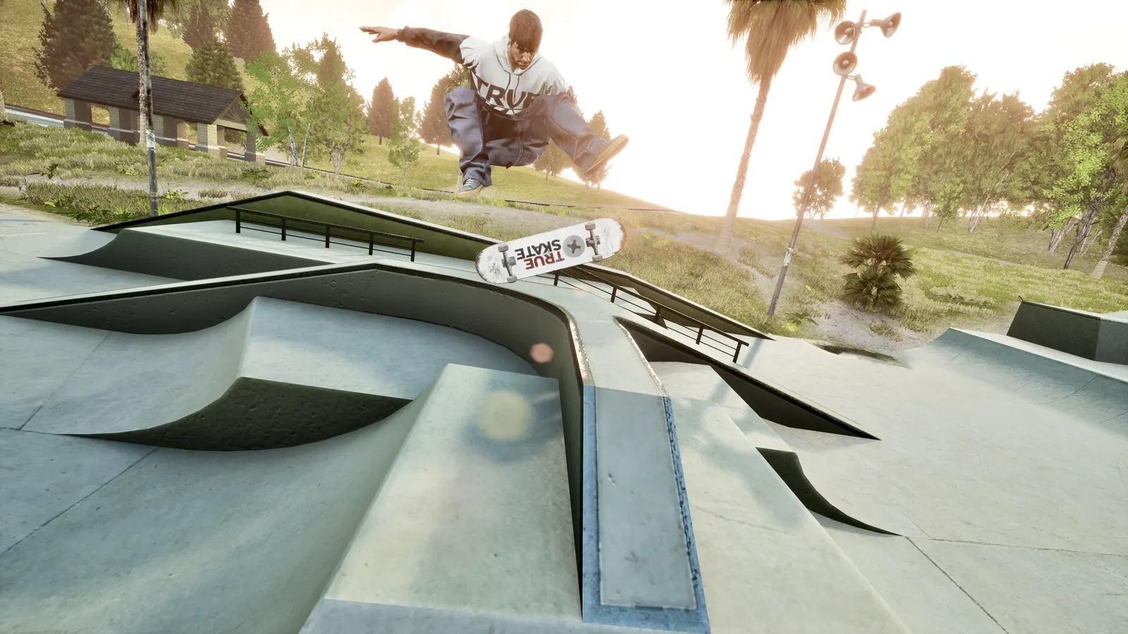 TRUE SKATE™ media 2