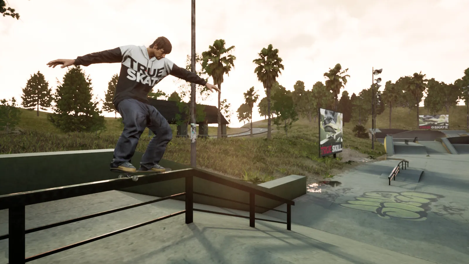 TRUE SKATE™ media 10
