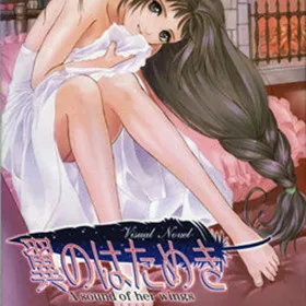 Обкладинка гри Tsubasa no Hatameki ~A sound of her wings~