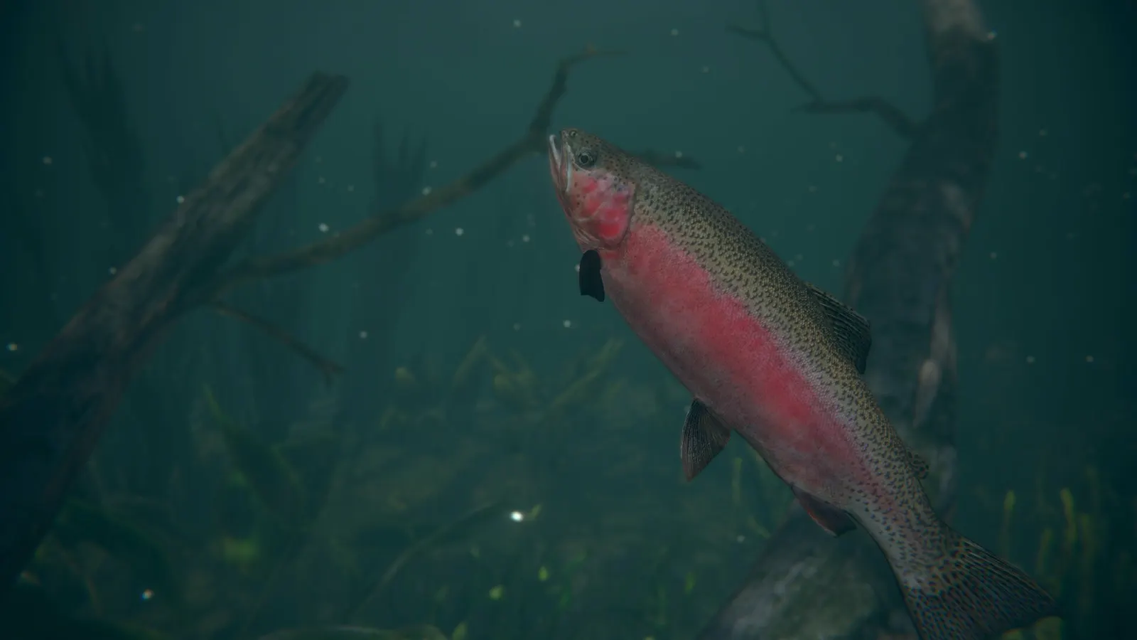 Ultimate Fishing® Simulator 2 media 2
