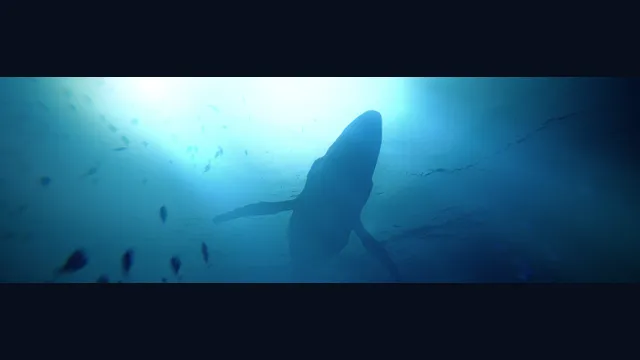 Under The Waves