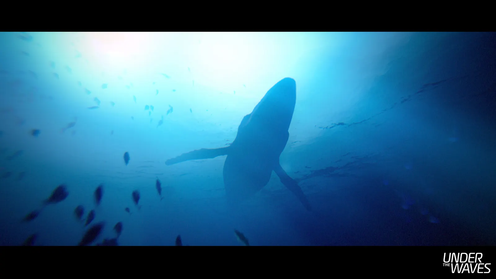 Under The Waves media 3