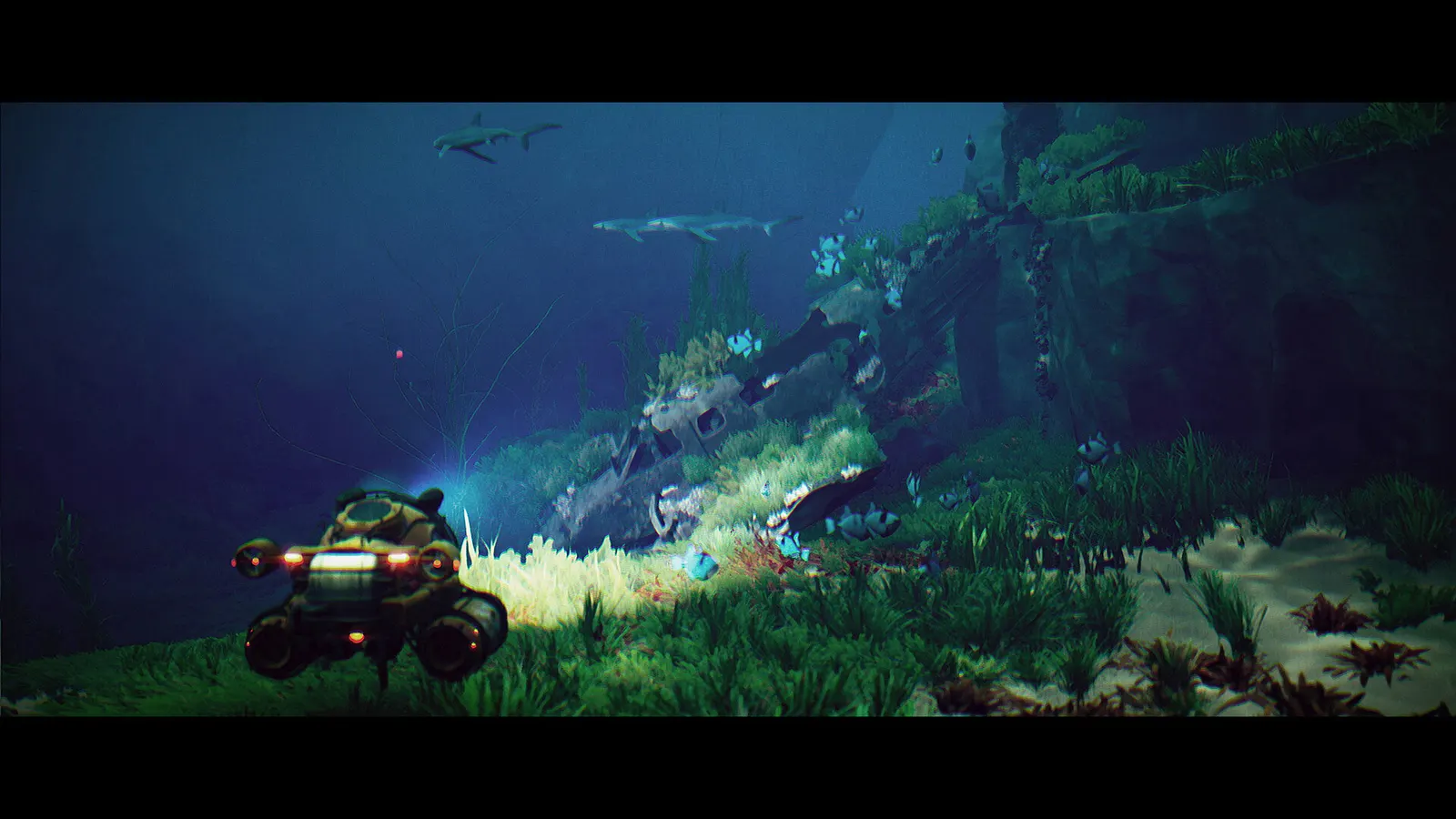 Under The Waves media 13