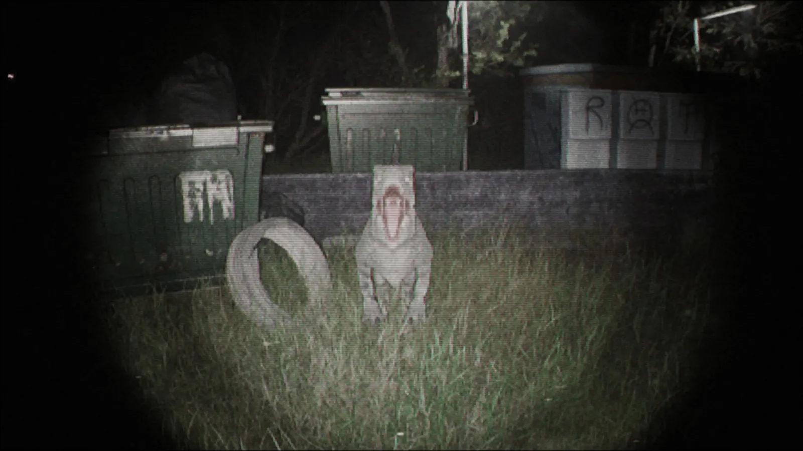 Unknown Tapes media 13