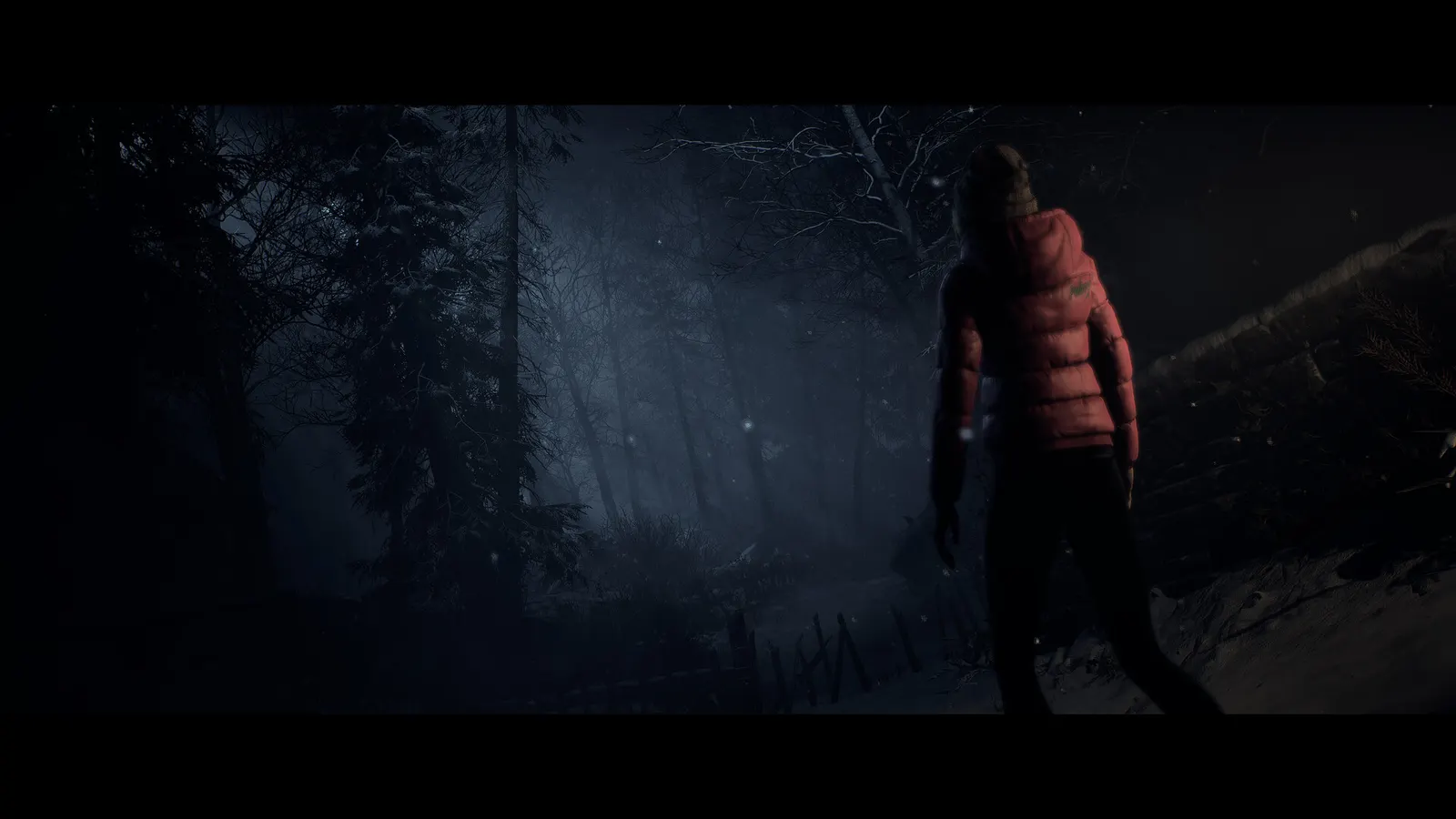 Until Dawn™ media 11