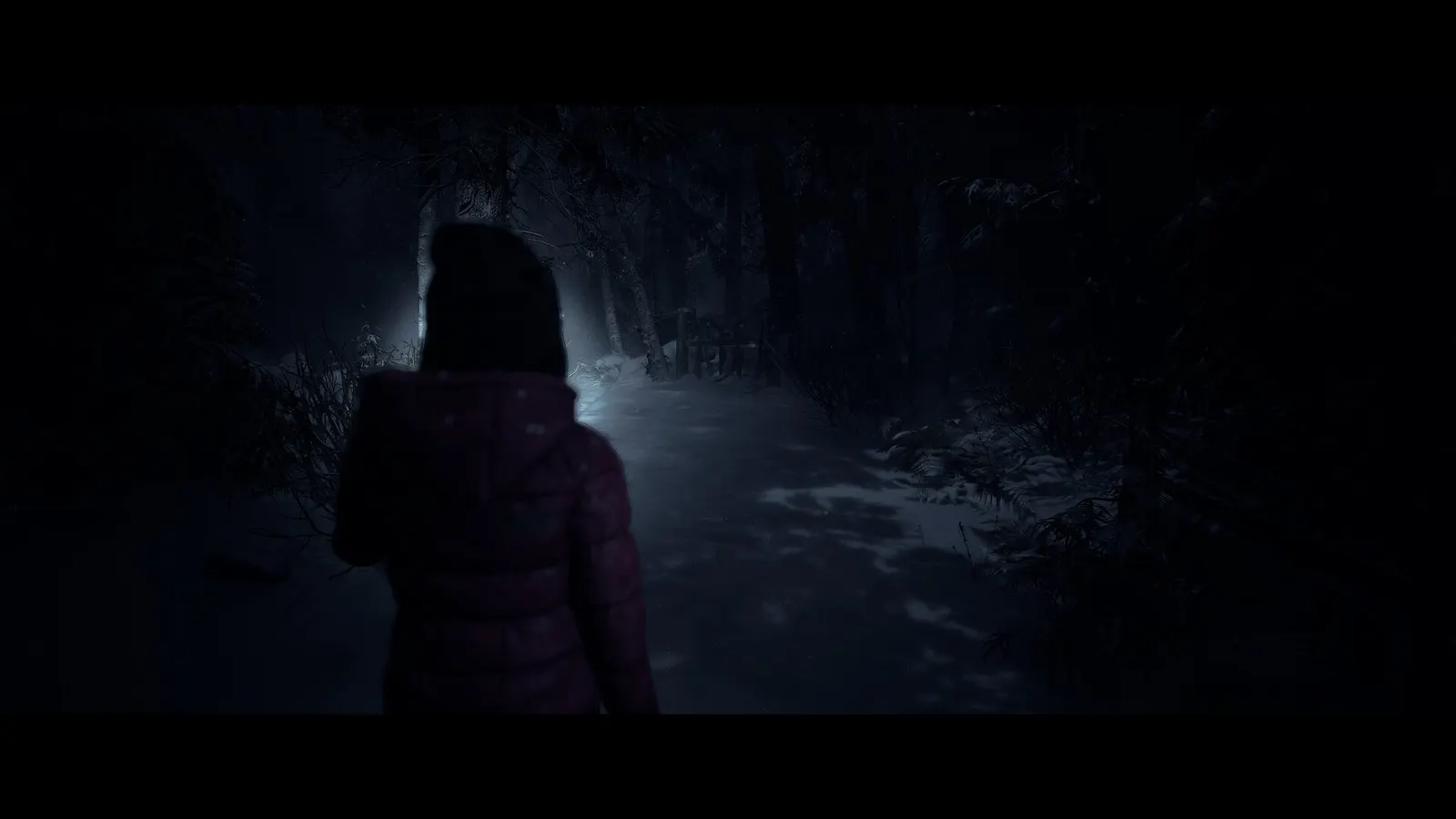 Until Dawn™ media 14