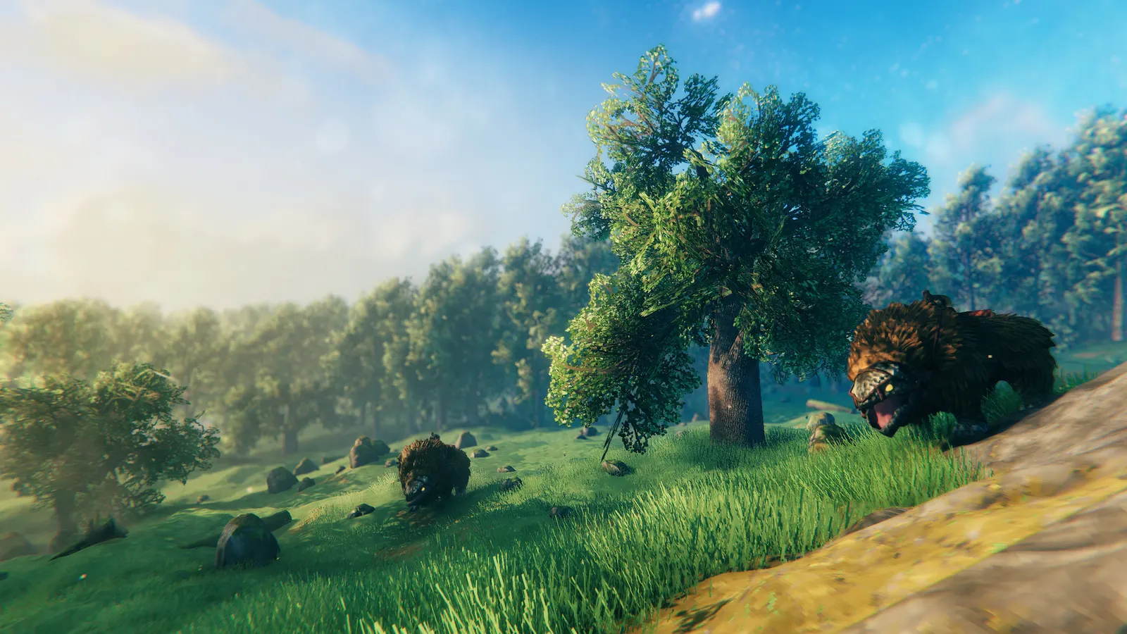Valheim media 13