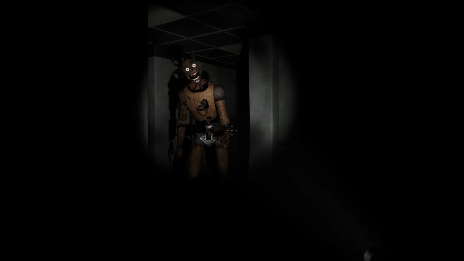 Vigil media 6