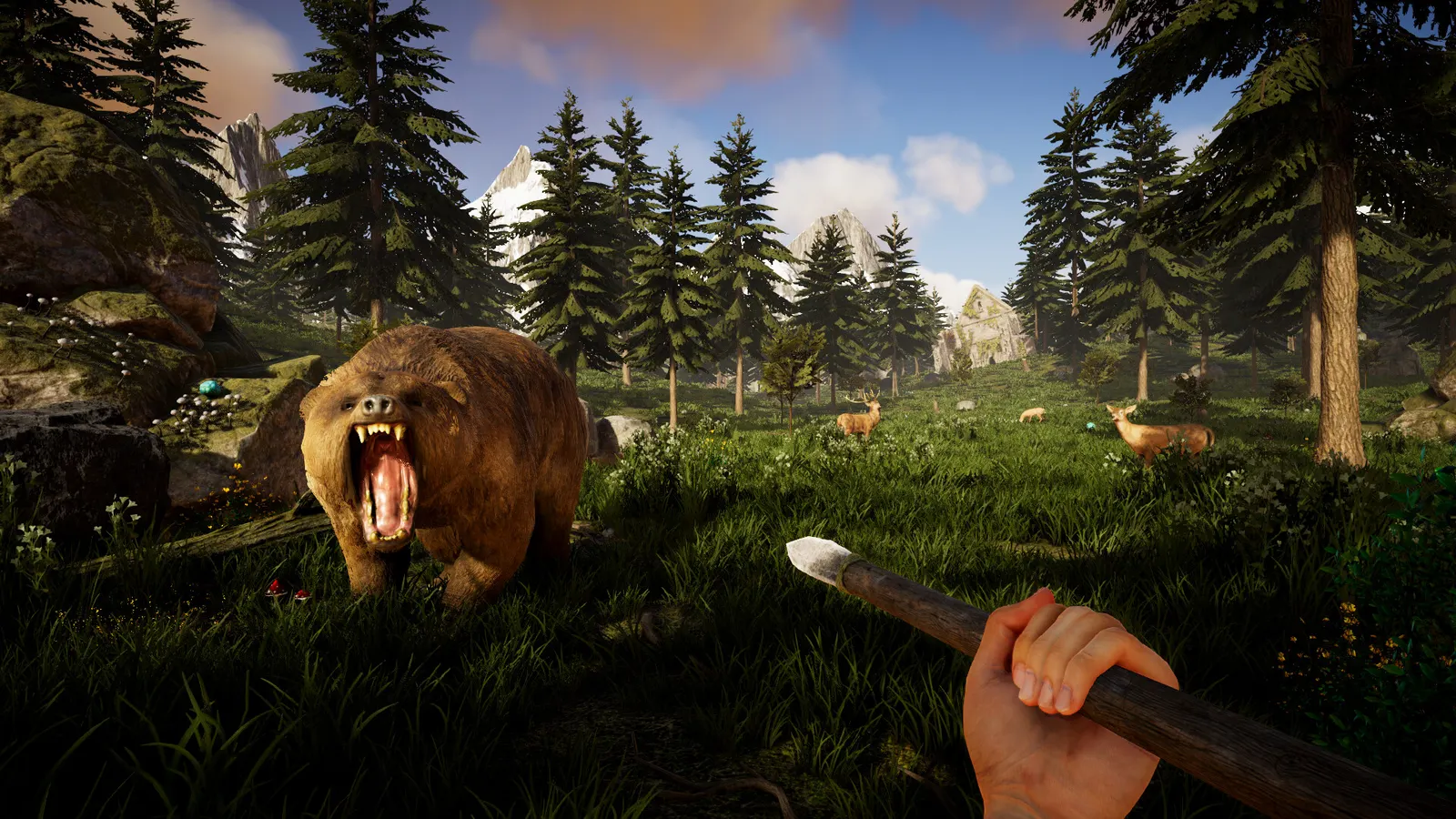 Viking Frontiers media 14