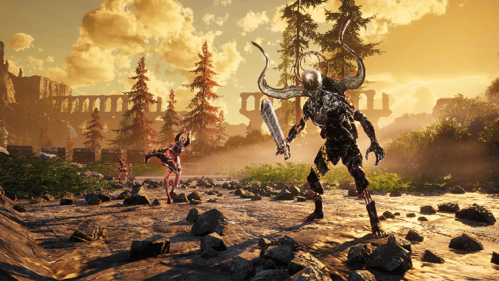 VOIN media 19