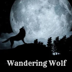 Обкладинка гри Wandering Wolf
