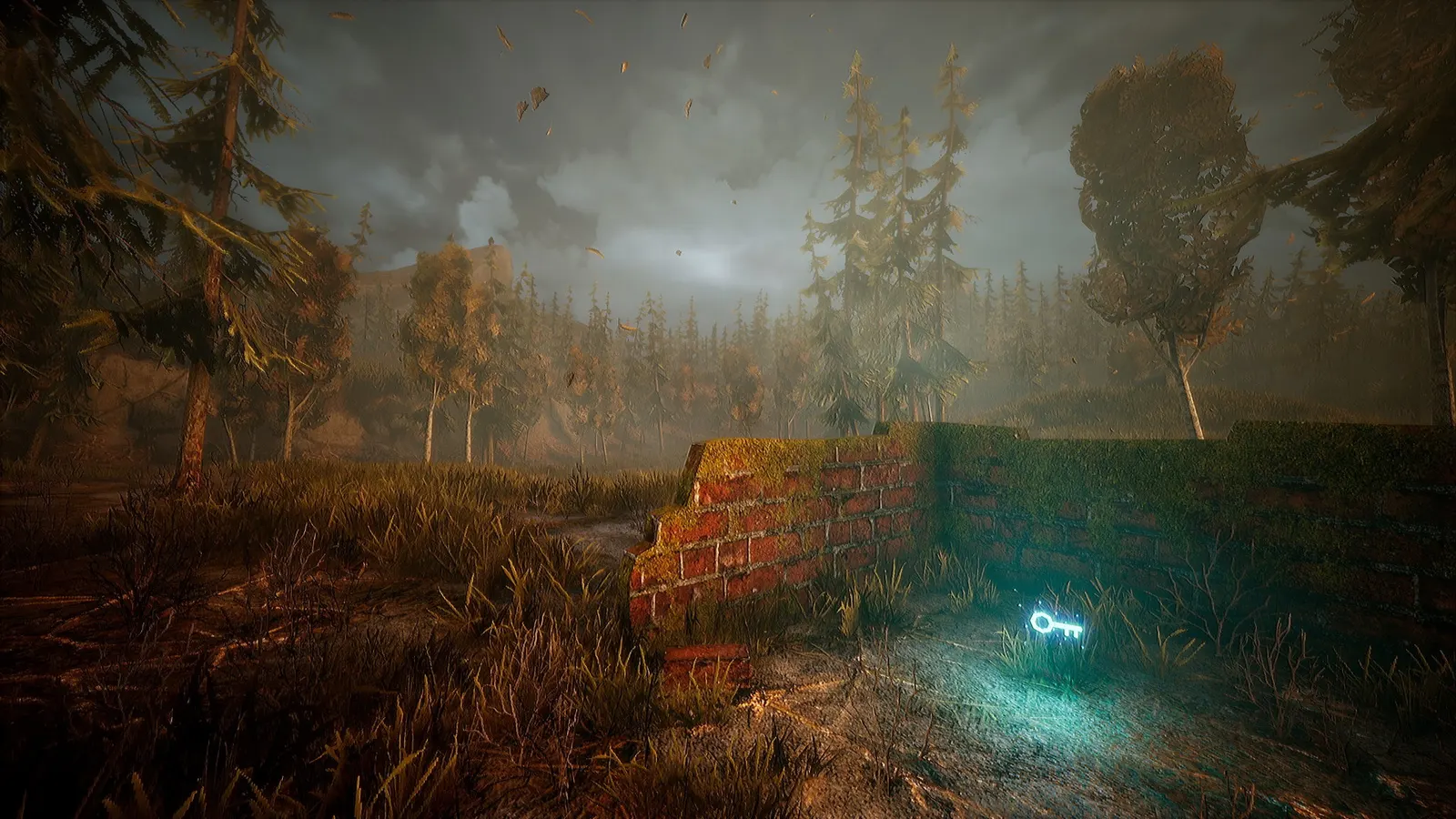 Wandering Wolf media 3