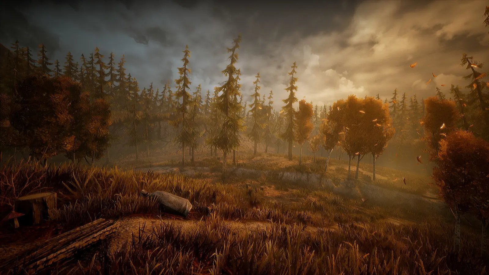 Wandering Wolf media 6