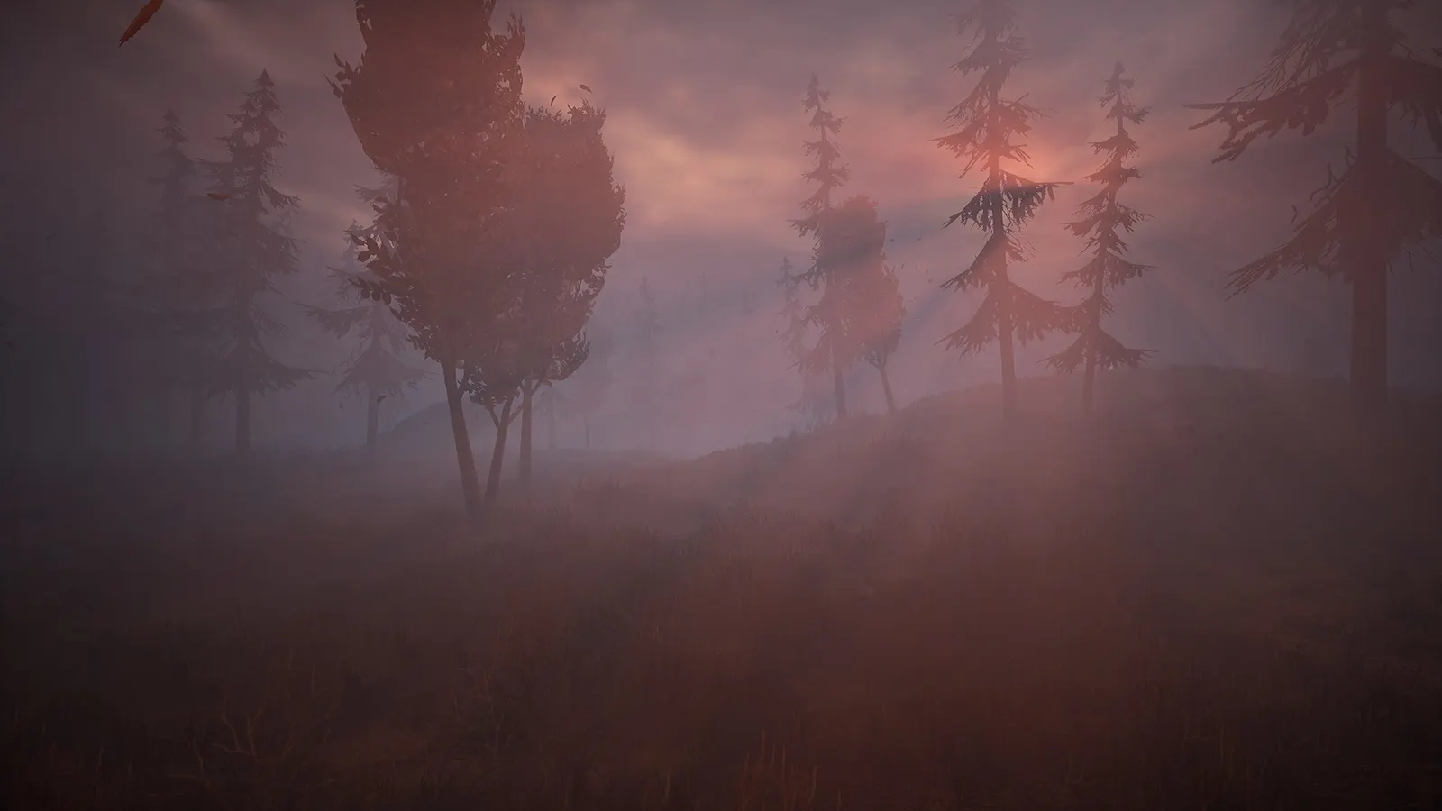 Wandering Wolf media 10