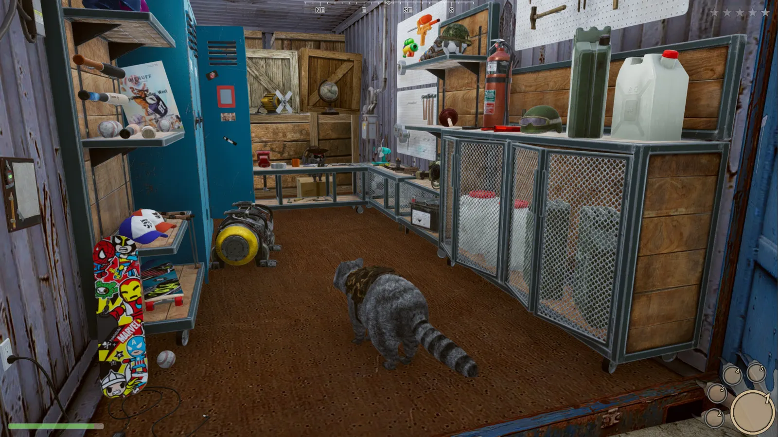 Wanted Raccoon media 12