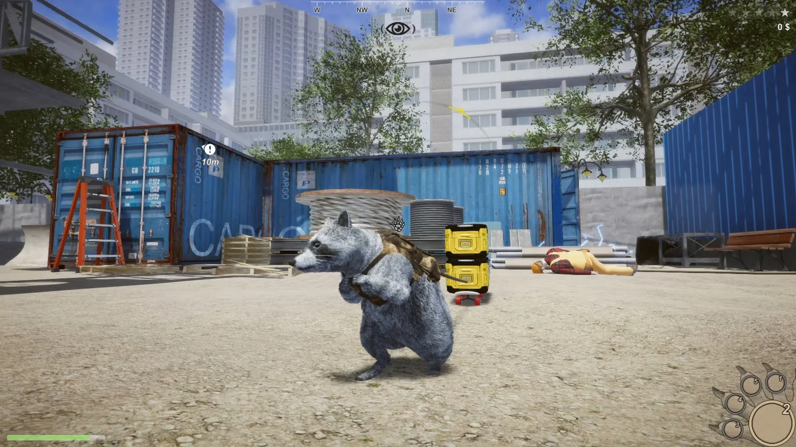Wanted Raccoon media 16
