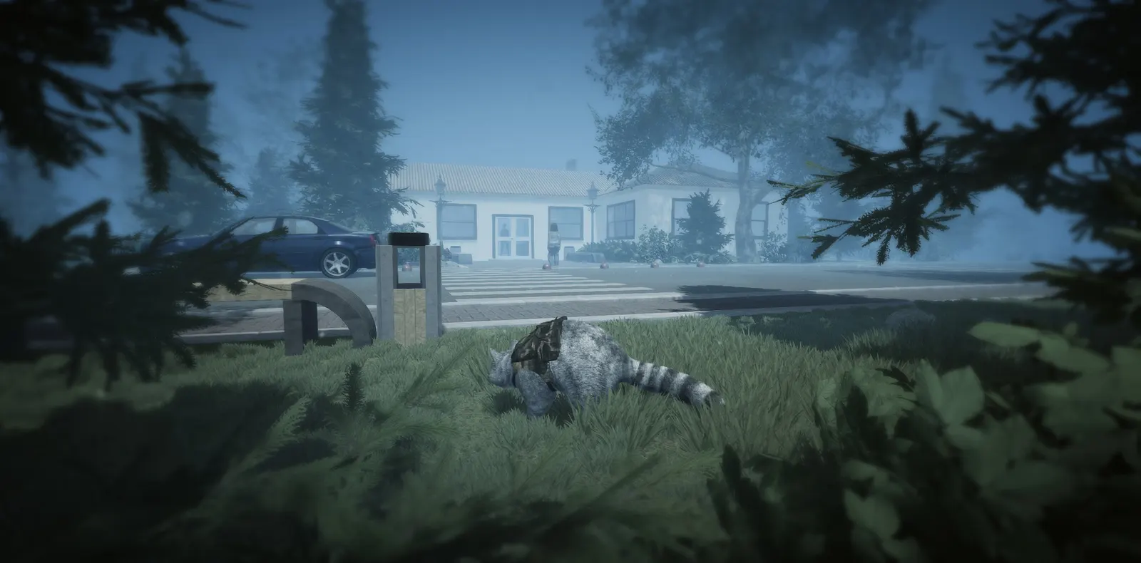 Wanted Raccoon media 19