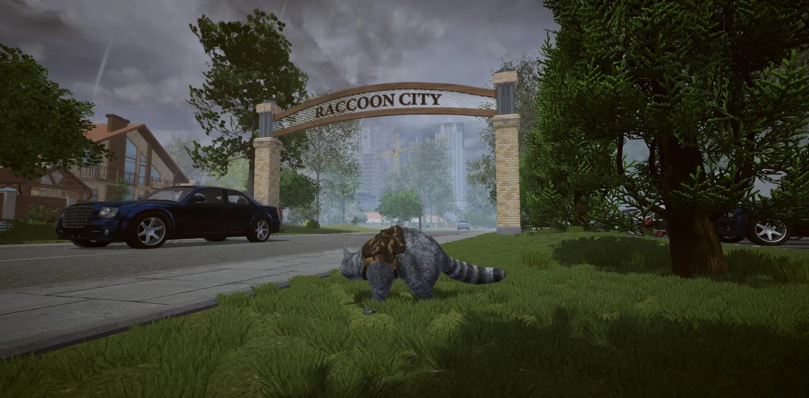 Wanted Raccoon media 23
