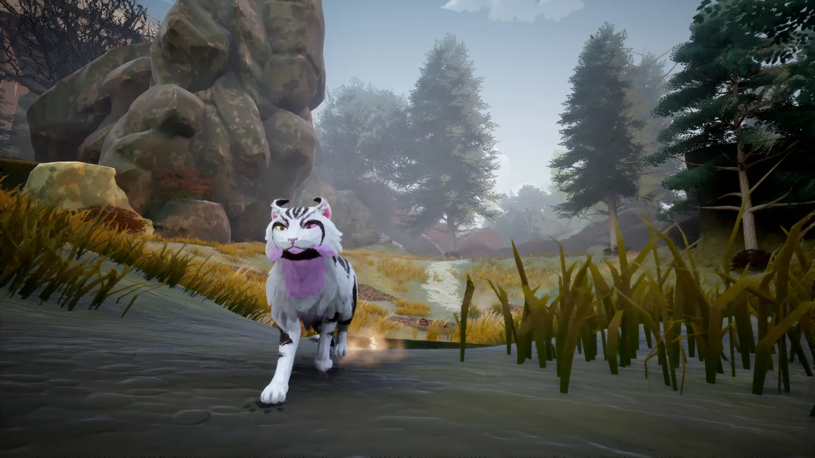 Warrior Cats: Clans of the Forest media 7