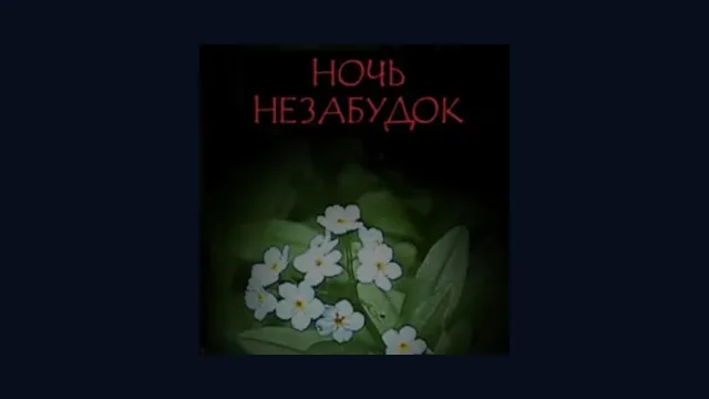 Wasurenagusa no Yoru