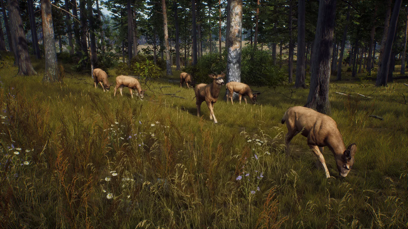 Way of the Hunter media 10