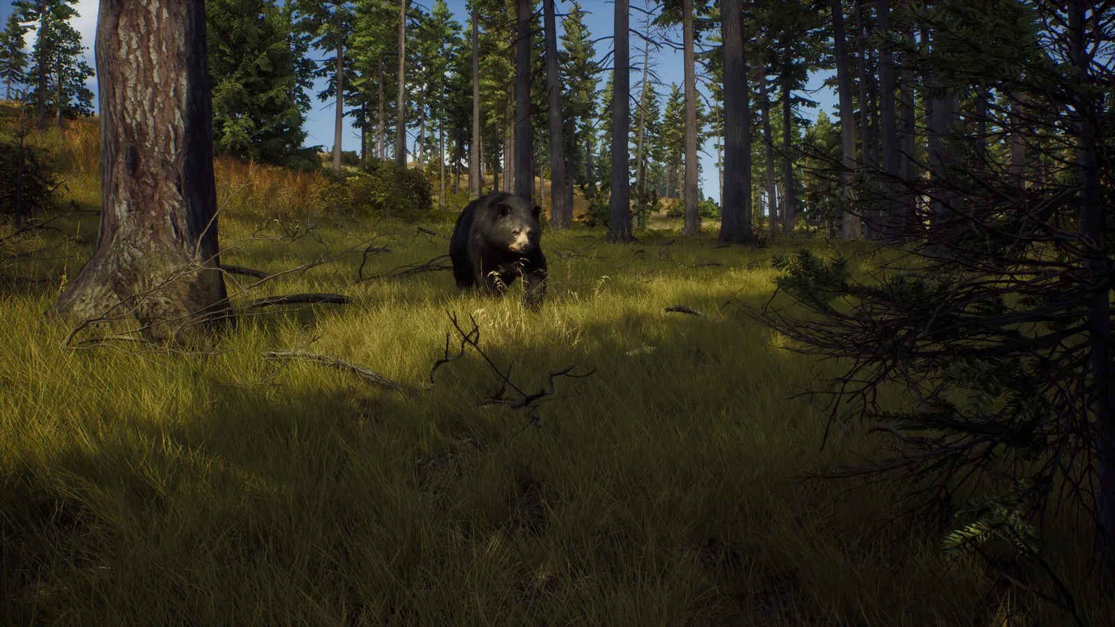 Way of the Hunter media 11