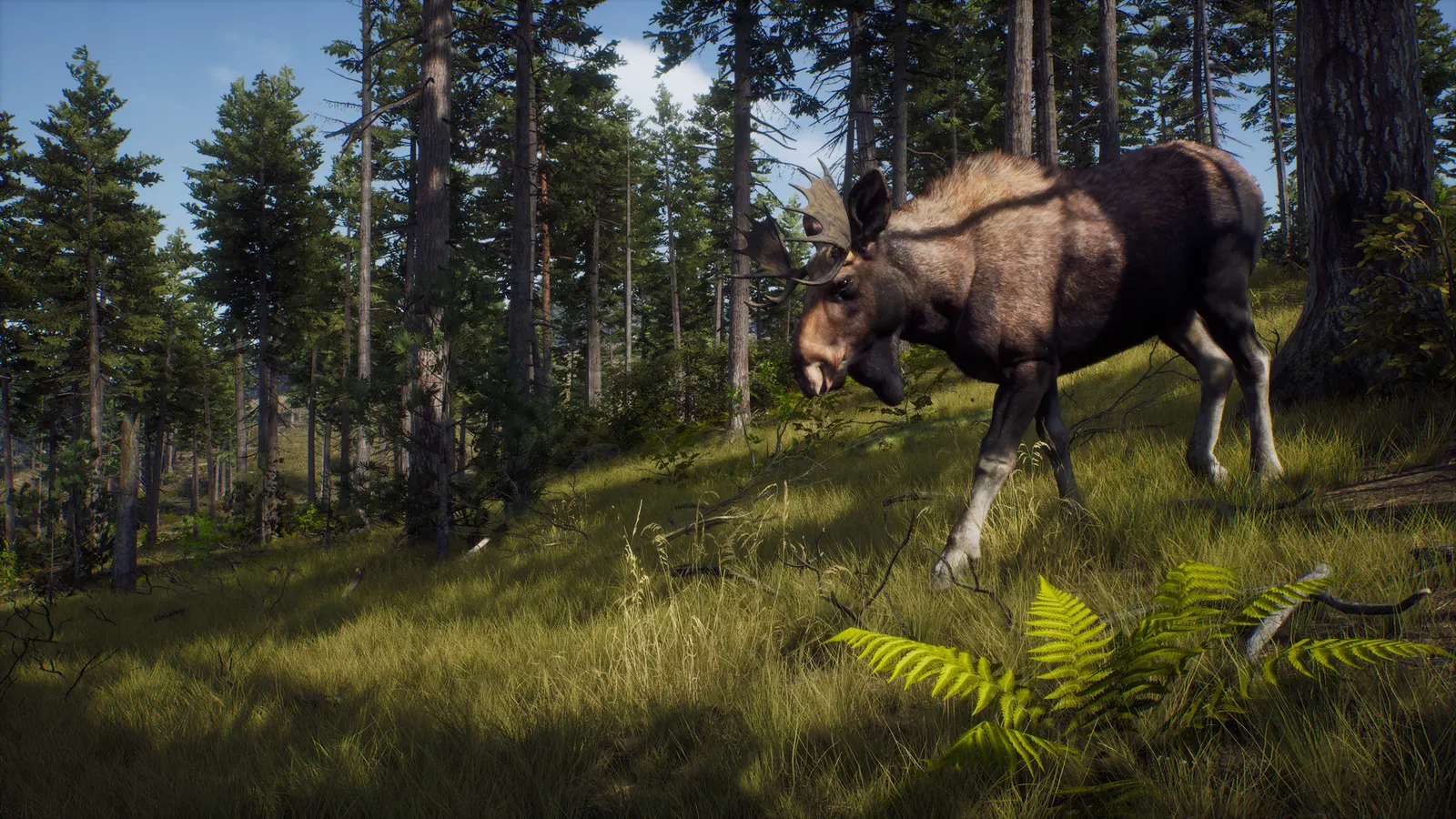 Way of the Hunter media 13