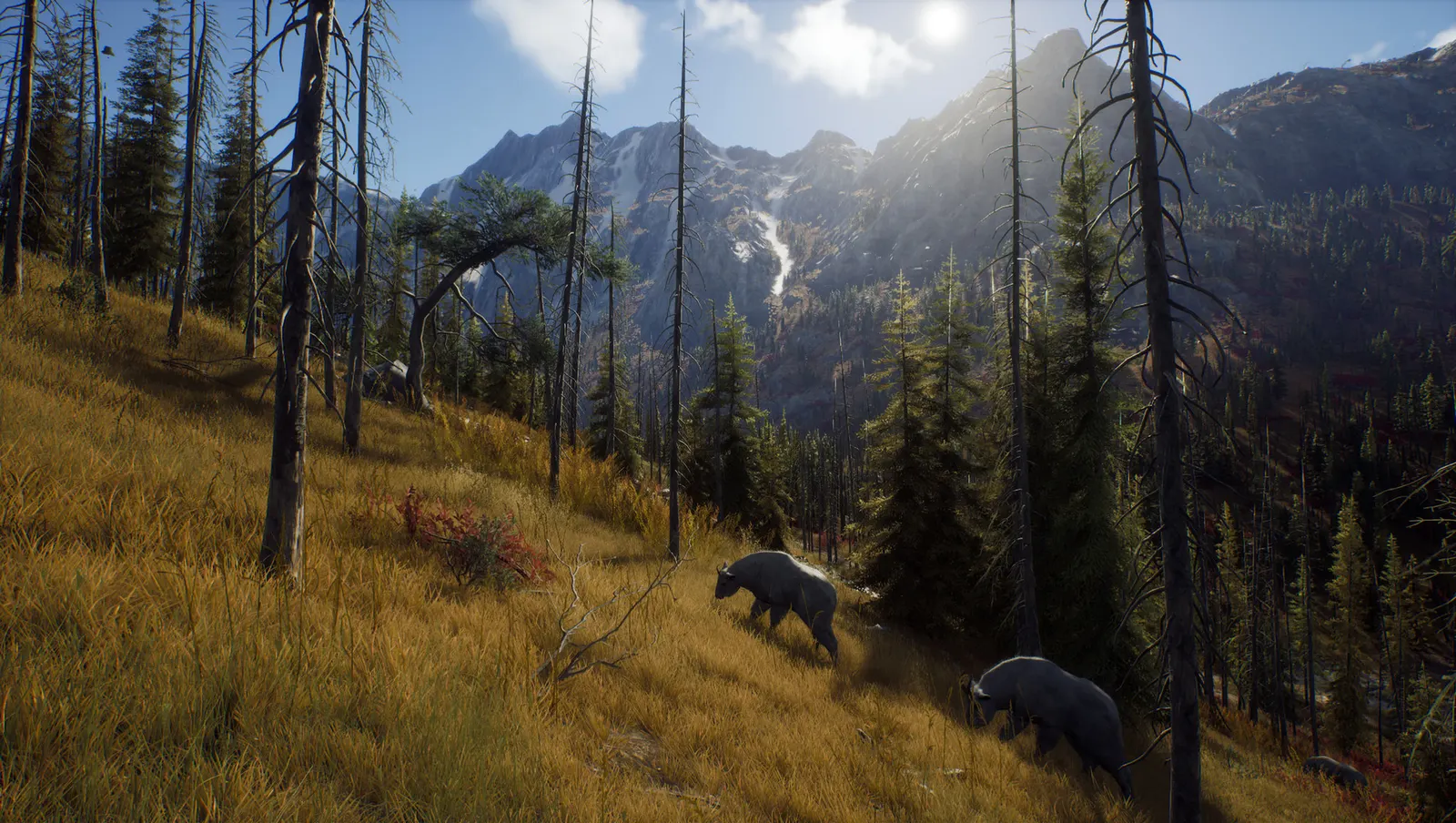 Way of the Hunter media 14
