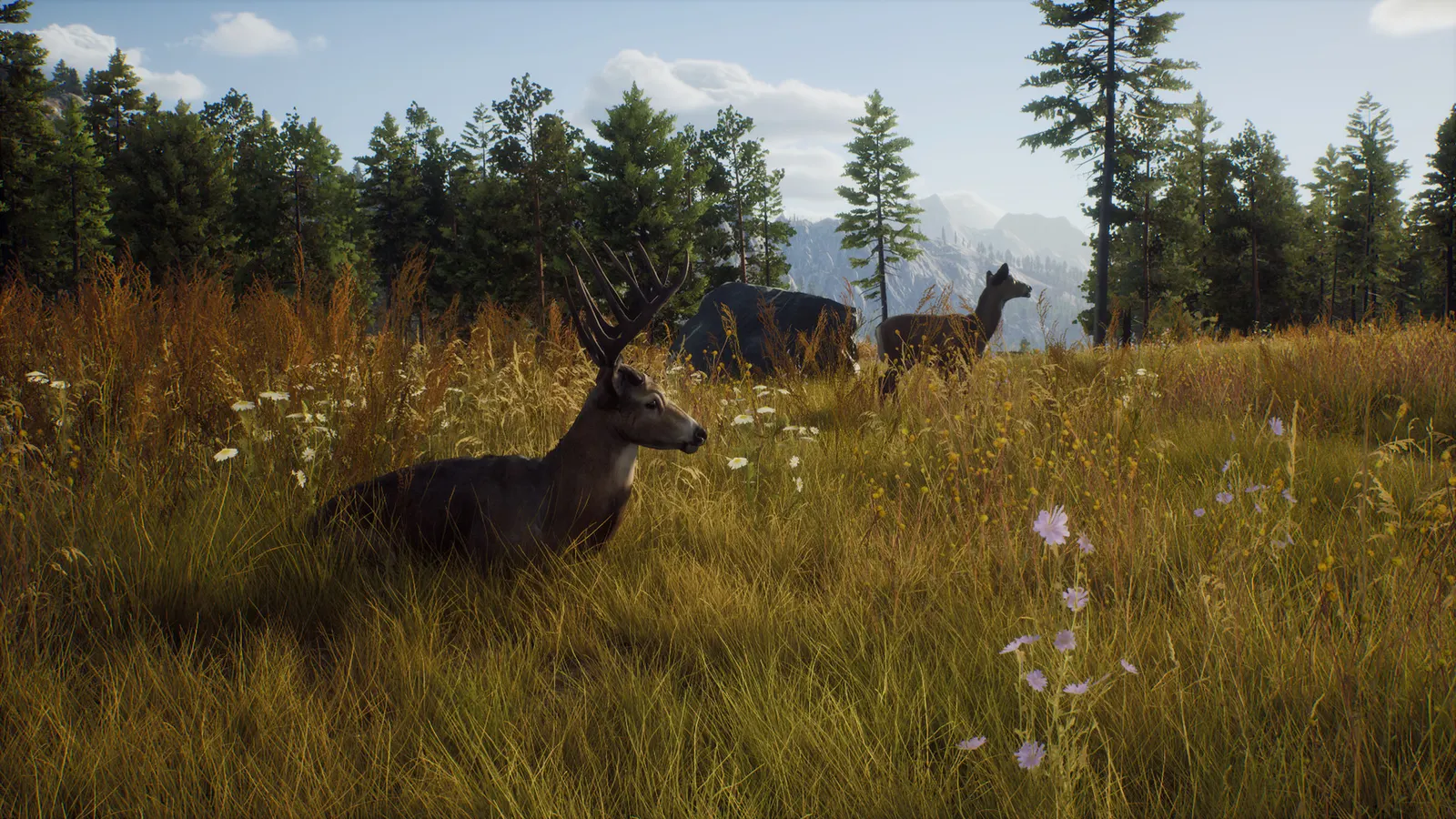 Way of the Hunter media 15