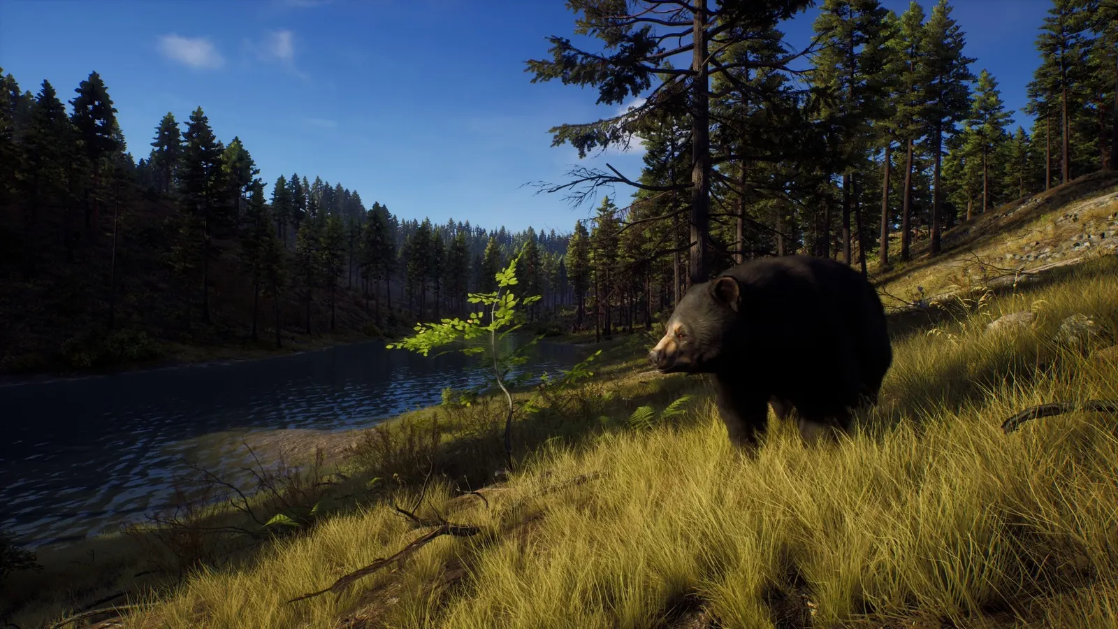 Way of the Hunter media 18