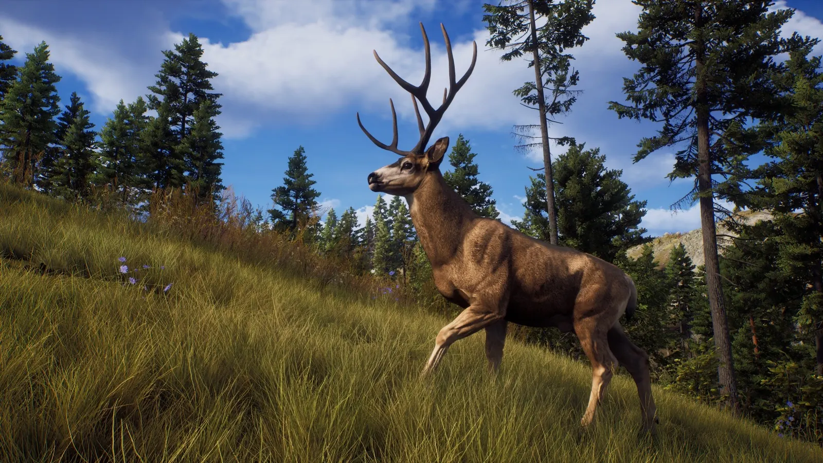 Way of the Hunter media 19