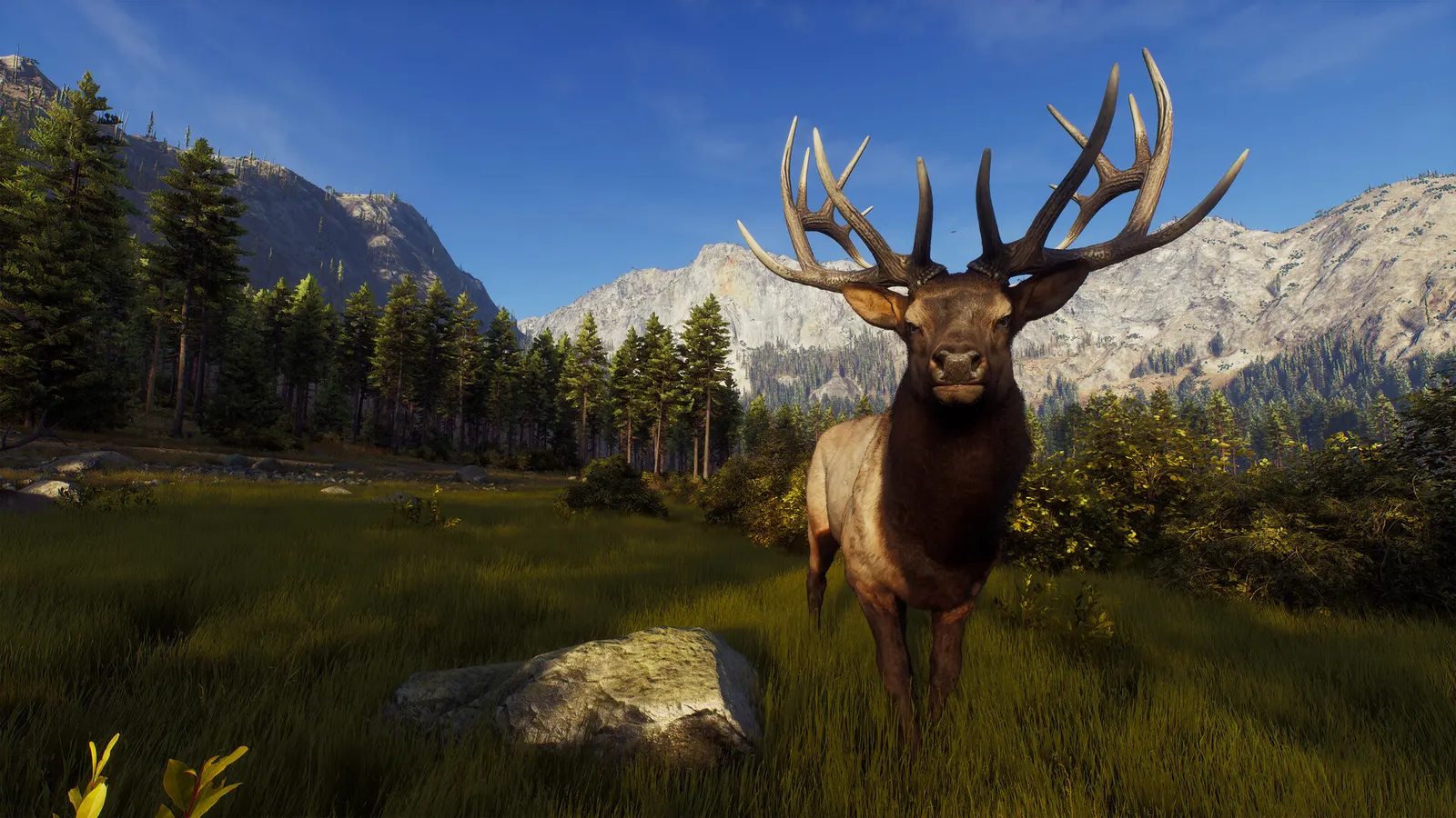 Way of the Hunter media 21