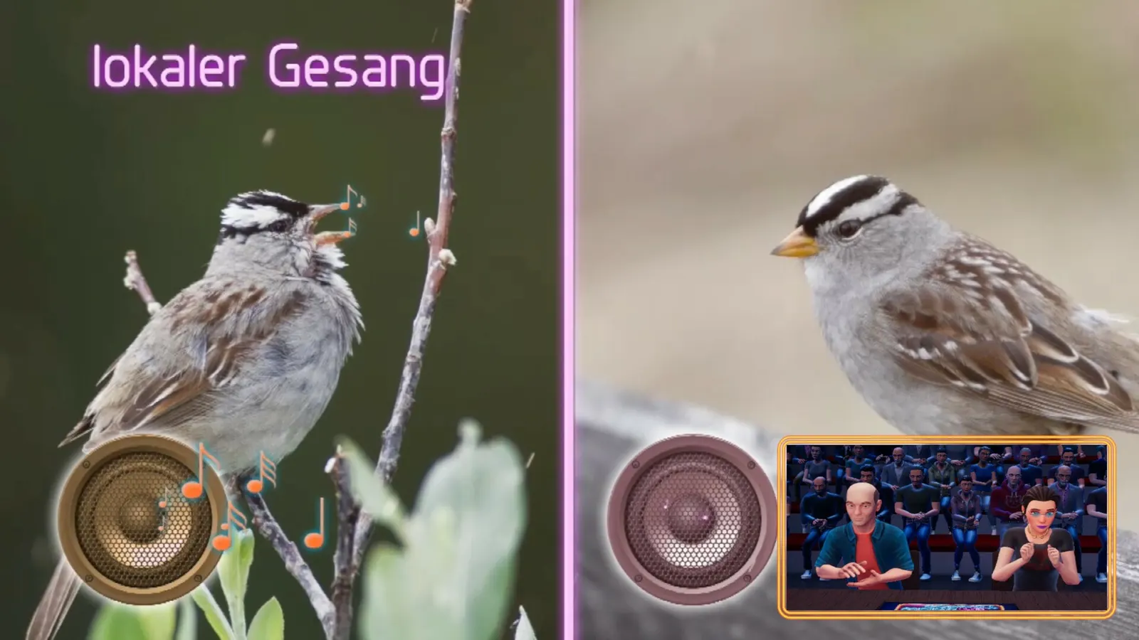 Wer weiß denn sowas? - Das 3. Spiel media 5
