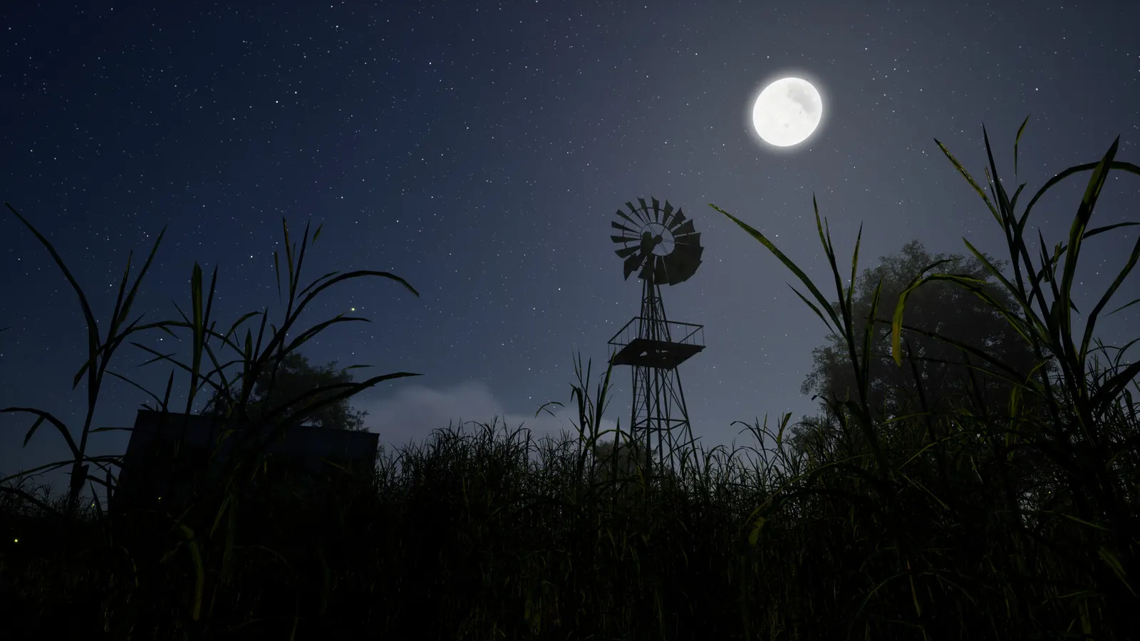 Whispers of the Tallgrass media 11